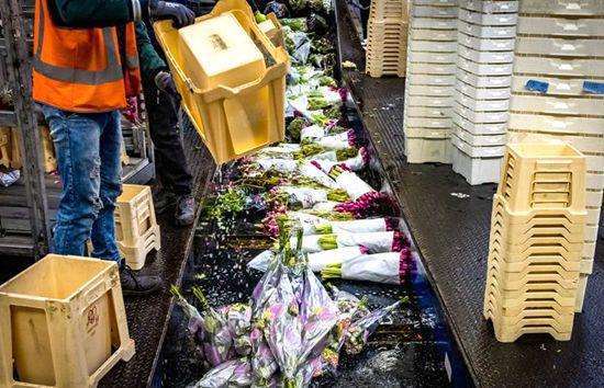 电力能源加工厂完工后每日能焚烧处理5000吨废弃物 